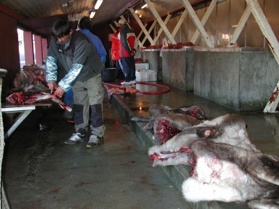 A man cuts up reindeer at a country foods market in Nuuk. (PHOTO BY JANE GEORGE)
